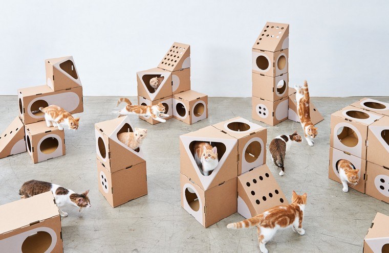 jeu pour chat en carton idées maison chat