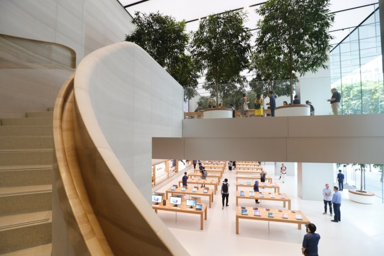 magasin Apple escalier-architectural-pierre-arbres-espace