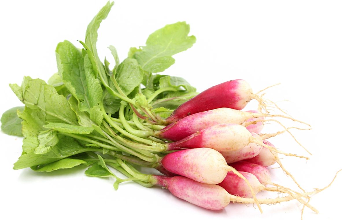 legumes-du-potager-radis