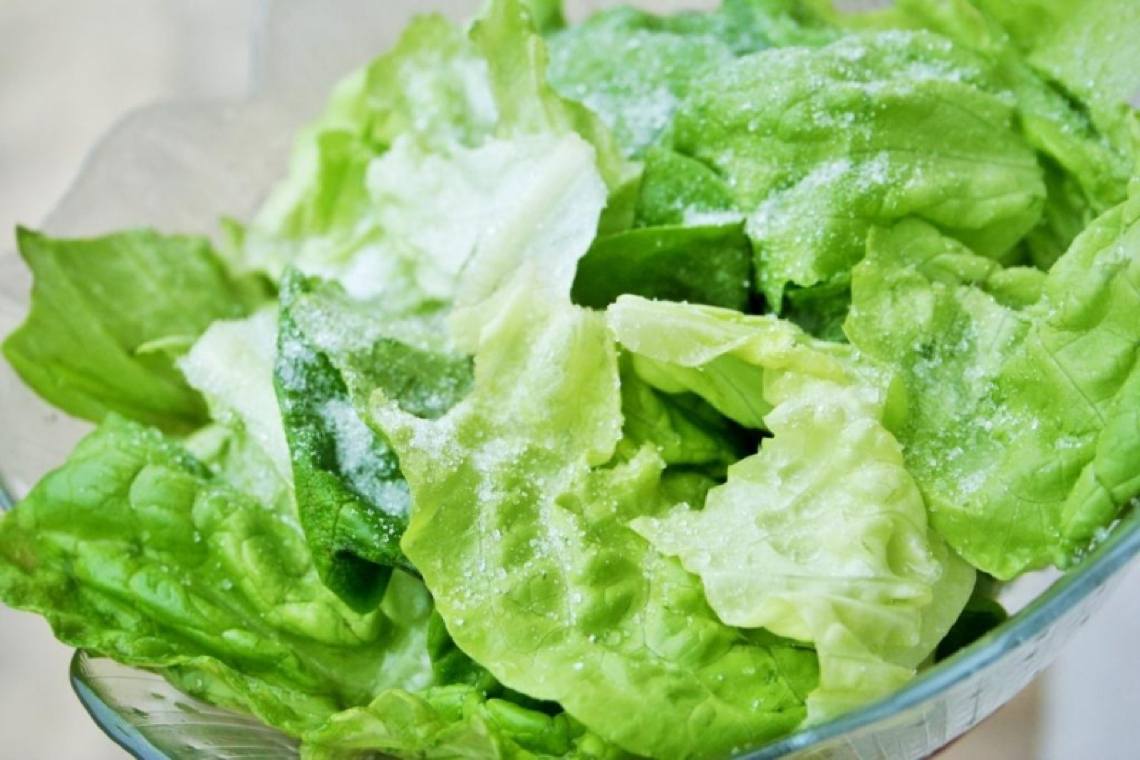 legumes faciles a cultiver salade-laitue