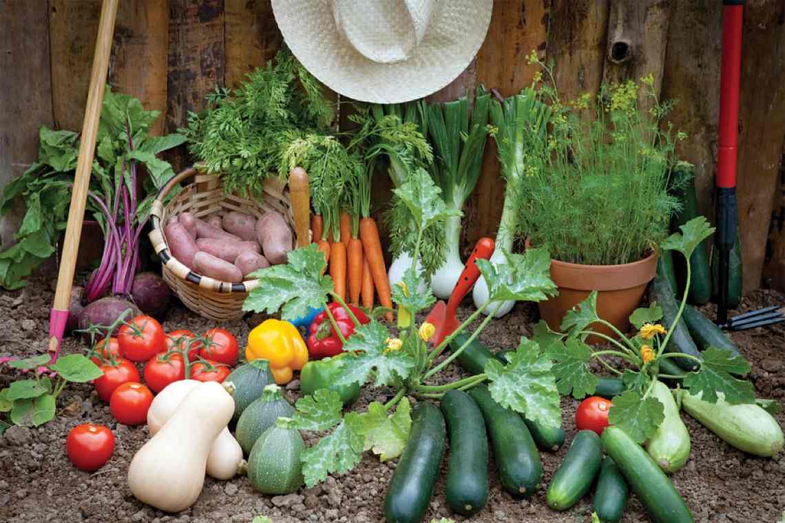 légumes faciles à cultiver