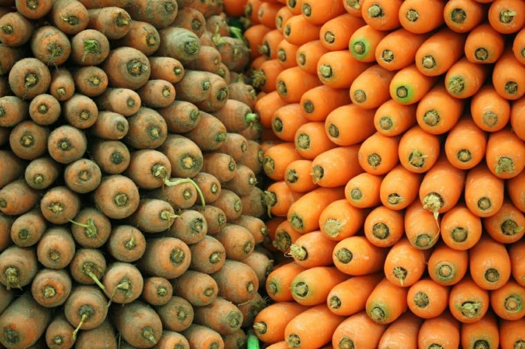 recette avec carottes legumes-premiere-qualite