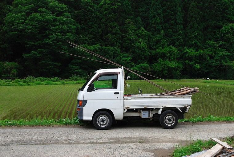 mini jardin japonais camionnette idée