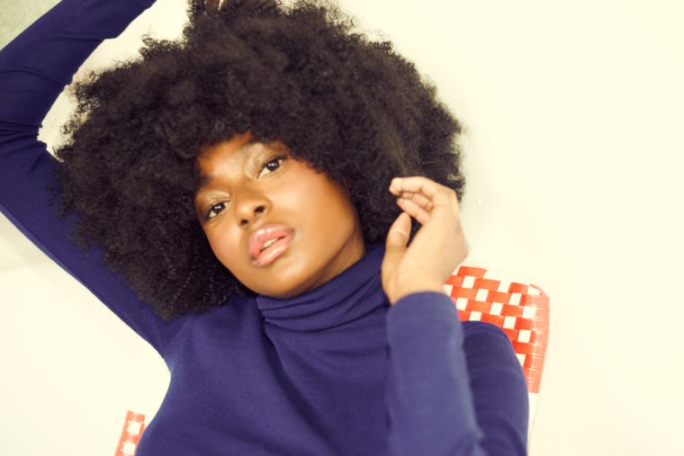 coiffure afro femme avec-tresses-idees-modele