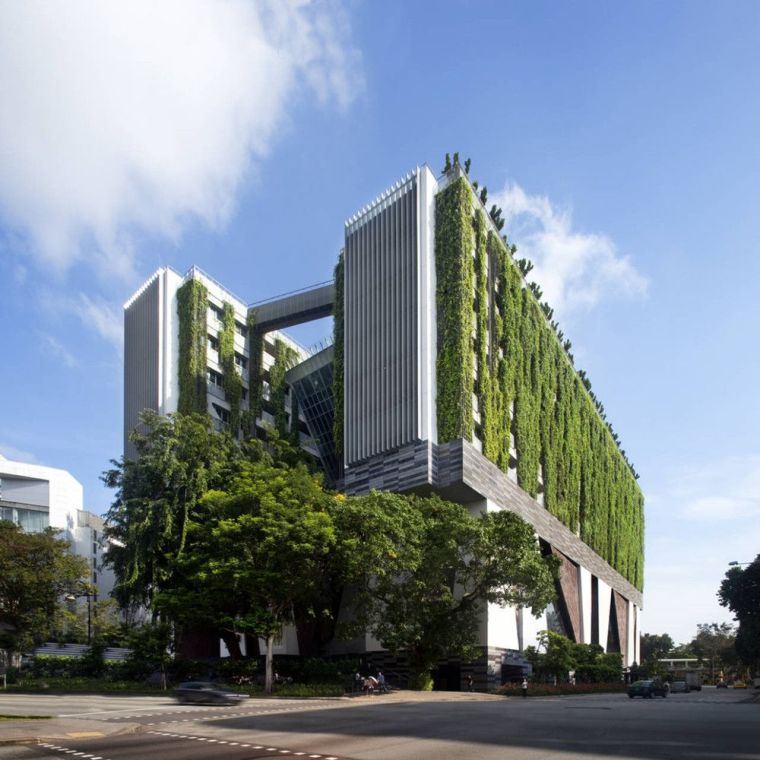 facade-verte-mur-exterieur-vegetal-immeuble-architecture-moderne