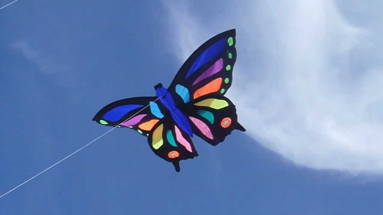 Cerf-volant-forme-papillon