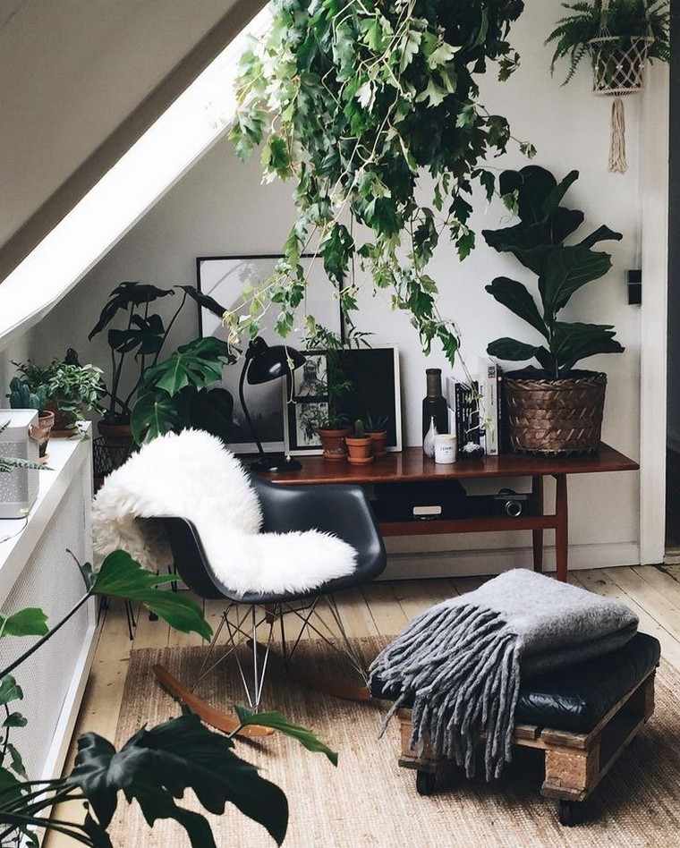 bureau-espace-plante-succulente-interieur
