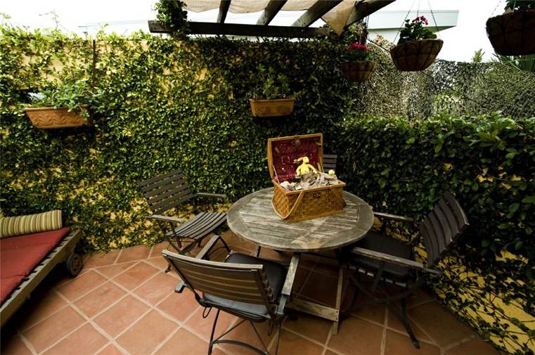 cloture-de-patio-avec-plantes-grimpantes