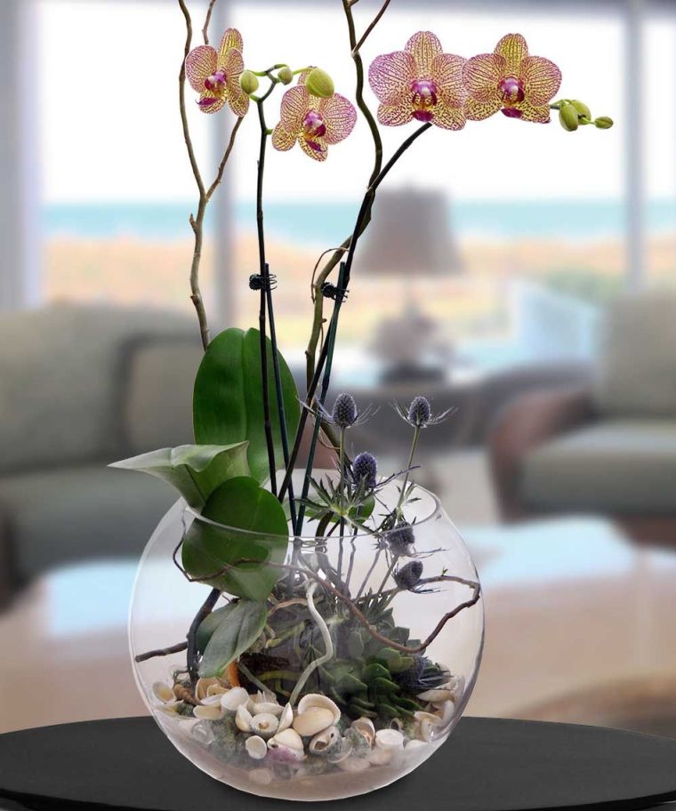 entretien-floraison-orchidee-pot-de-fleur