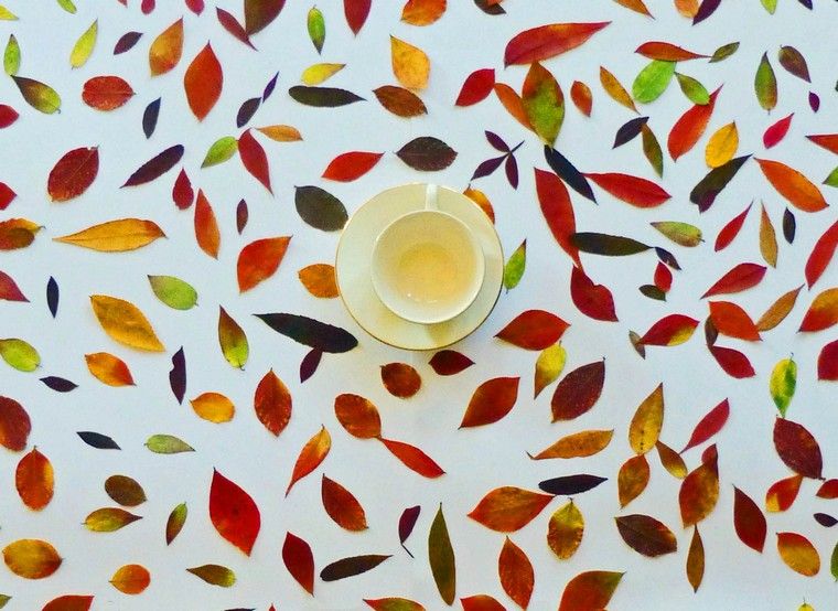 feuilles-table-automne-deco