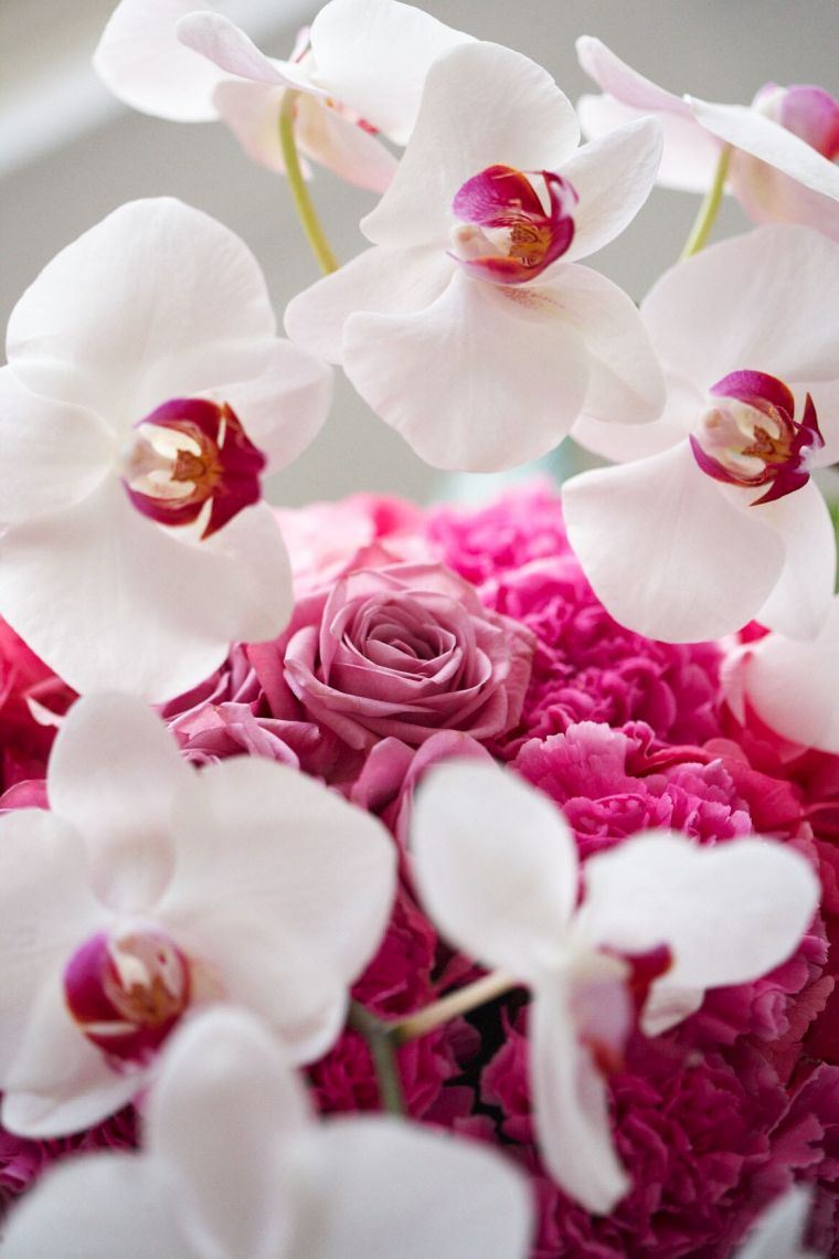 fleur-orchidee-entretien-astuces-soins