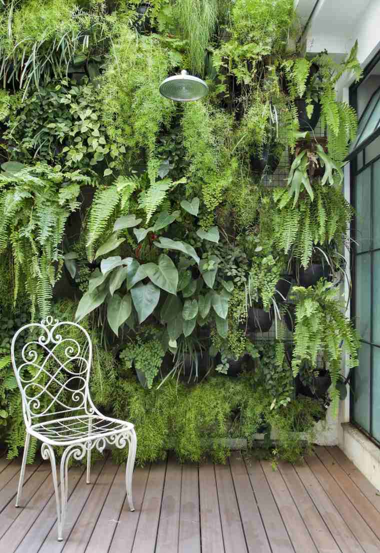 comment aménager petit jardin terrasse mur végétal