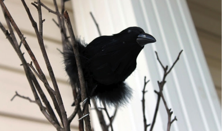 Deco extérieur Halloween oiseaux noirs3