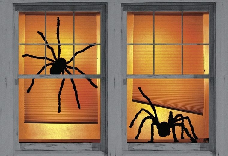 déco fenêtre halloween deux-araignees