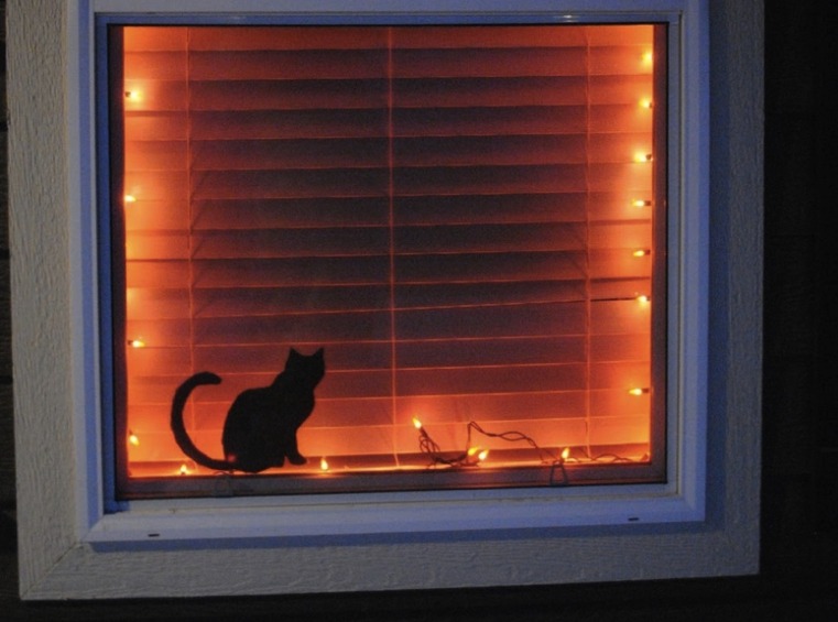 fenetre-Halloween-Silhouette-de-chat-noir