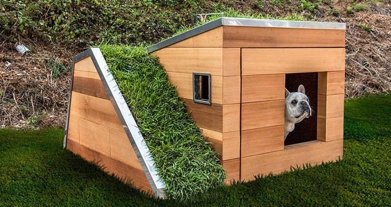 chien-maison-bois-design-toit-vert-niche