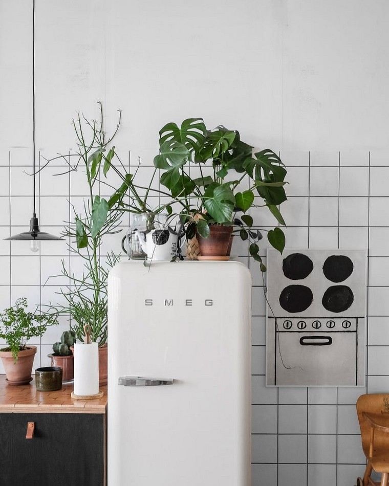 décorer sa cuisine plante pot intérieur mur frigo smeg