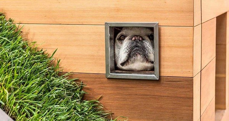 maison pour chien bois toit vert