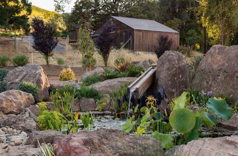 paysagiste jardin professionnel-exterieur-aquatique-bassin