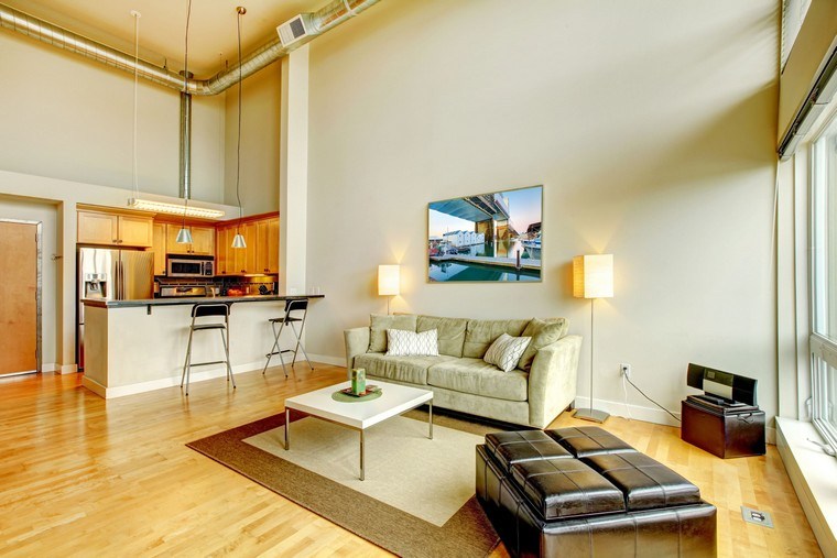 airbnb espace ouvert appartement moderne canapé coussins table basse