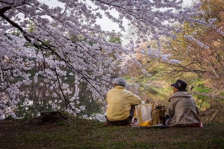 culture japonaise longevite sante personnes agees