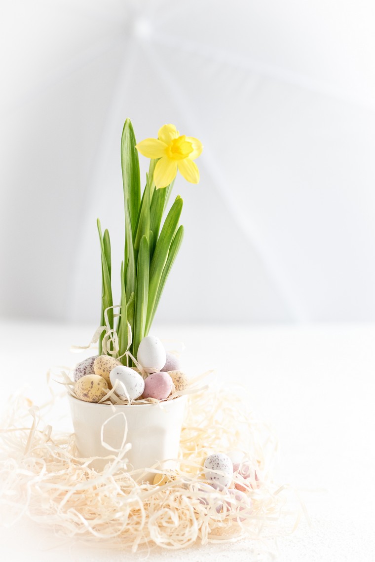 décoration pour pâques fleurs printemps table déco idée