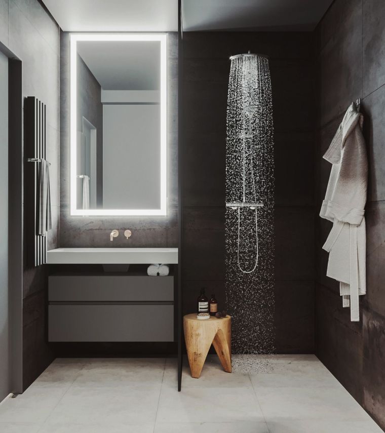 petite salle de bain avec douche en couleur sombre