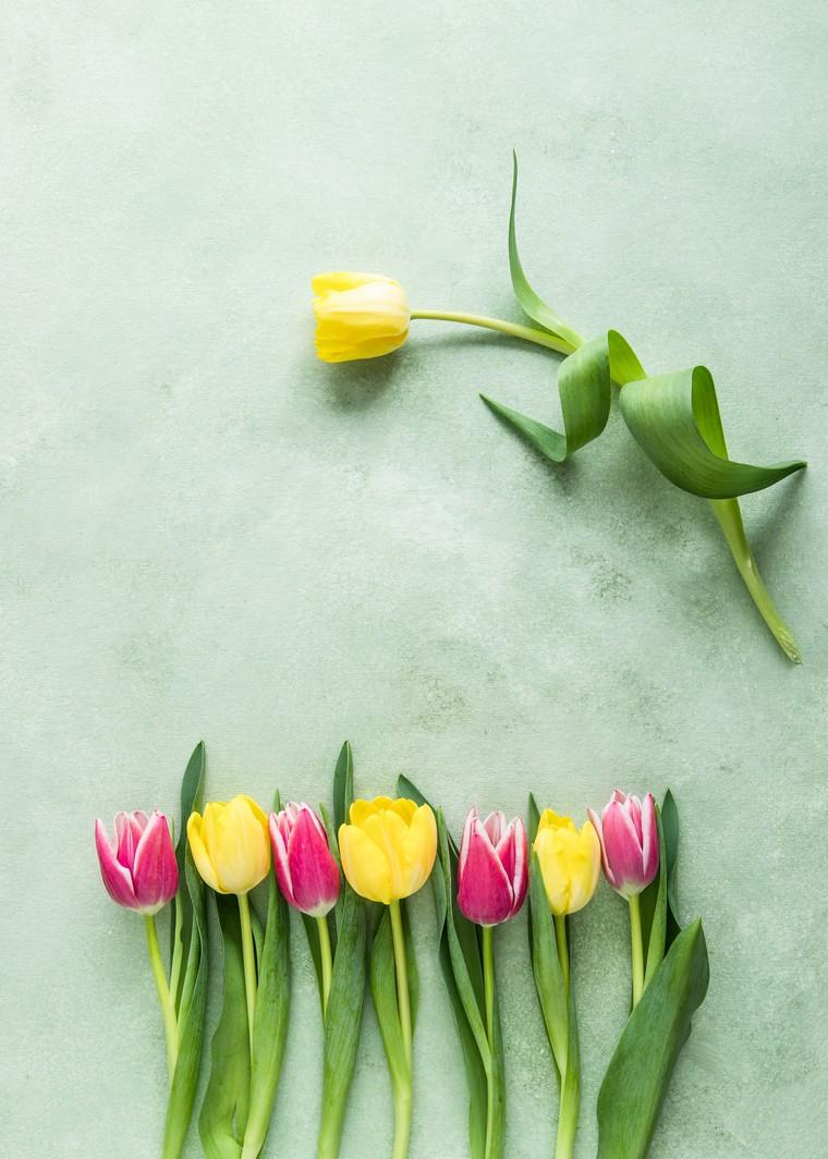 vase printemps déco tulipes intérieur