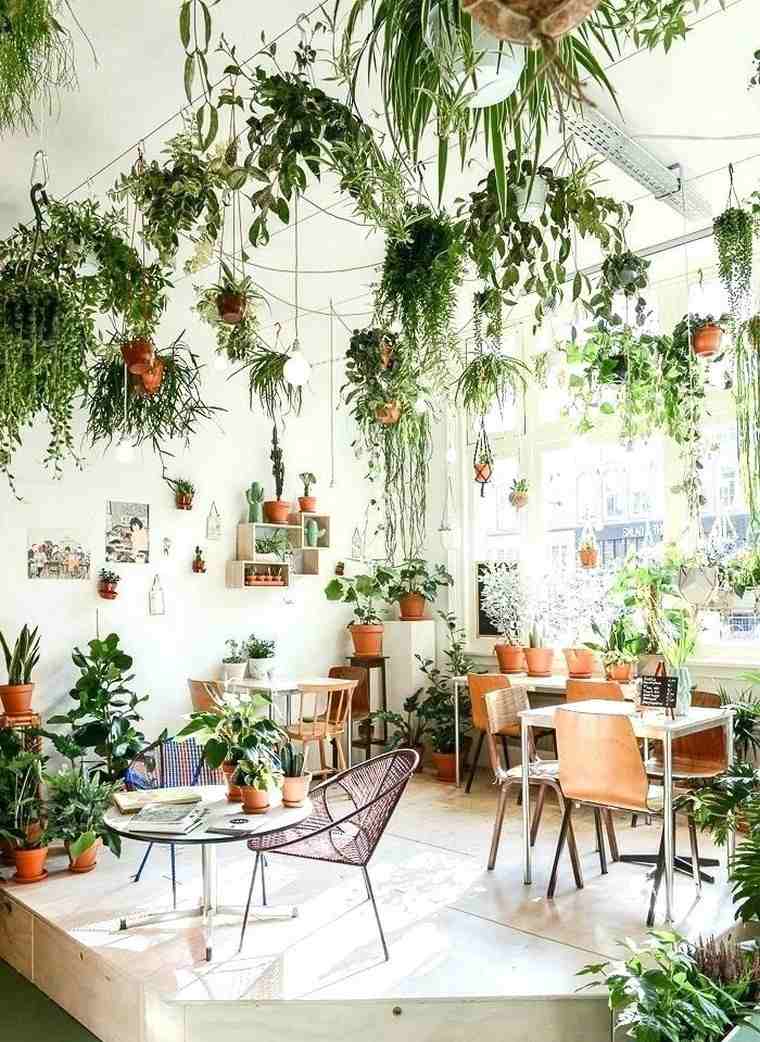 plante verte intérieur idée végétation maison