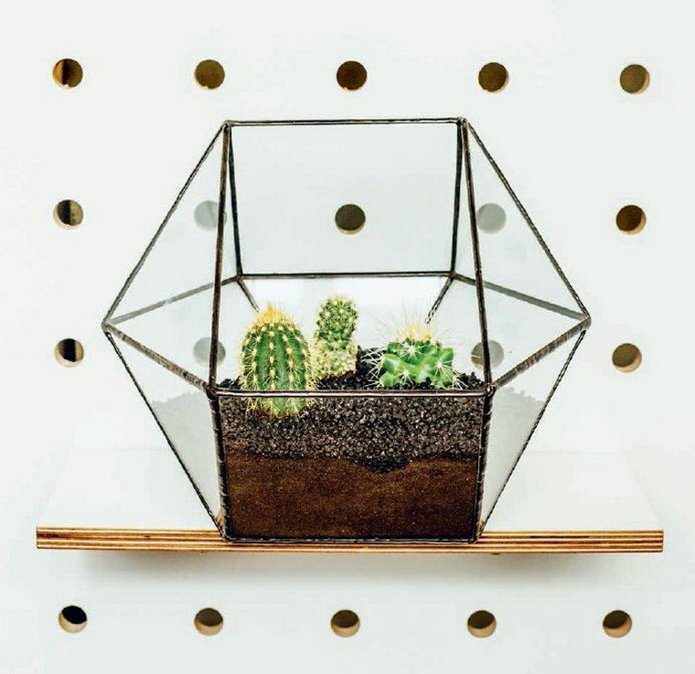 diy terrarium idée plante intérieur pot jardinage urbain