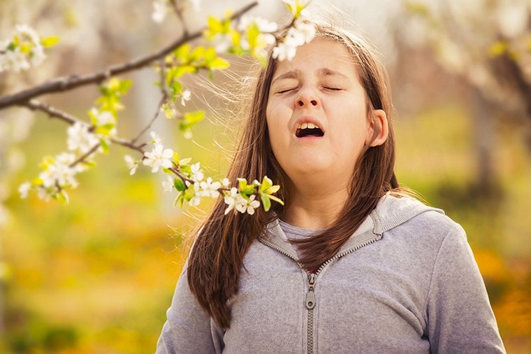 allergies aux pollens pendant le printemps