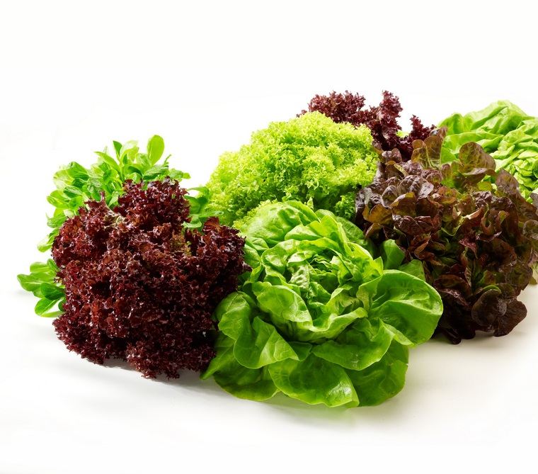bienfaits salade verte mélange