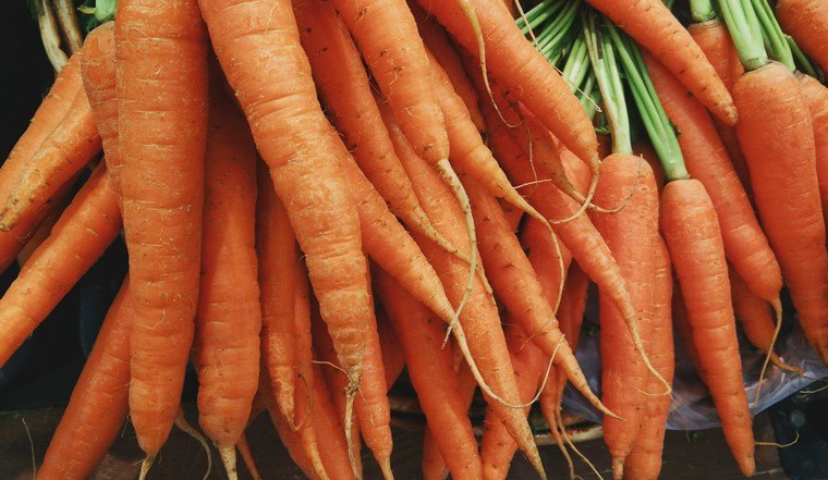 carottes détoxifier corps idée régime alimentation