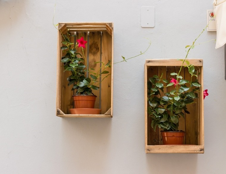 cadre en bois comme support des pots de fleurs