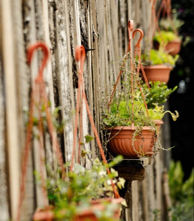 pots de fleurs sur la clôture en bois