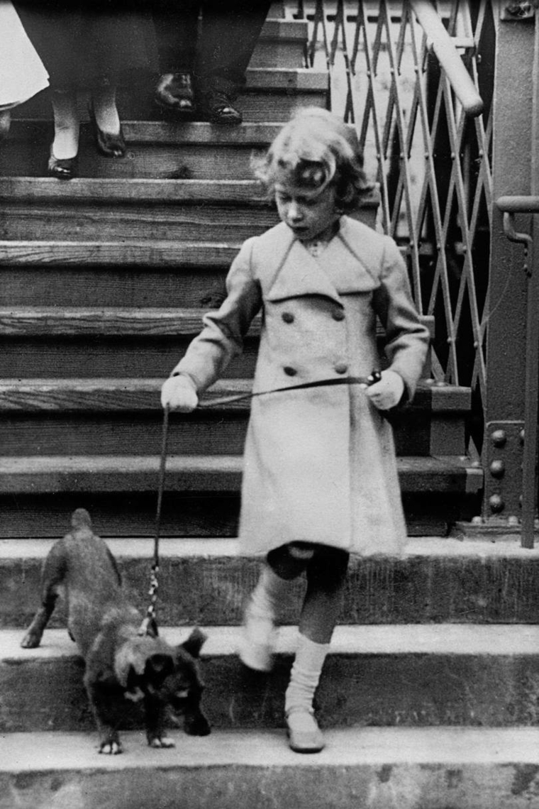 Elizabeth II avec son chien images