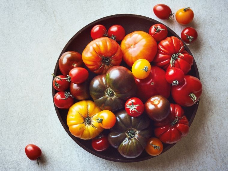 tomates idee menu ete