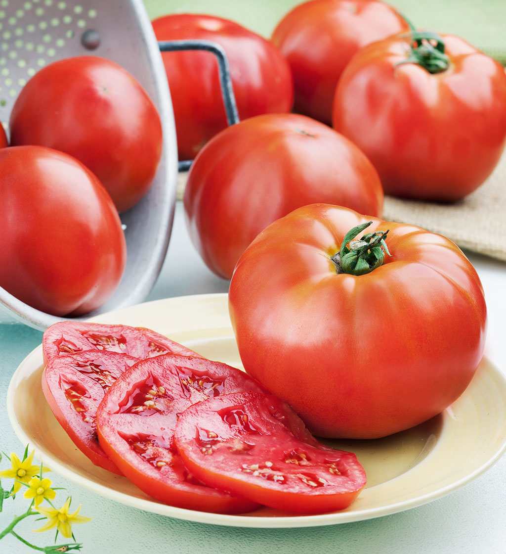 velouté de tomates pour l'été - les ingrédients