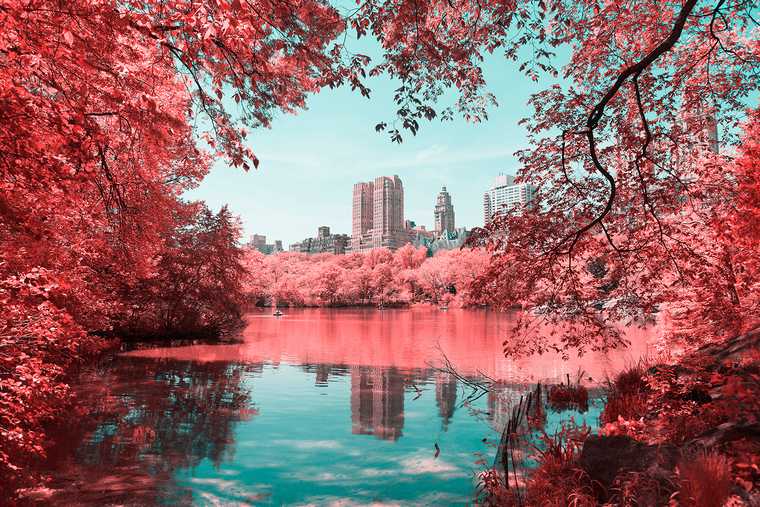 Paolo Pettigiani depuis Central park New York infrarouge