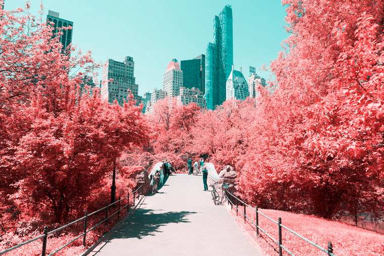 Paolo Pettigiani photos New York Central Park infrarouge