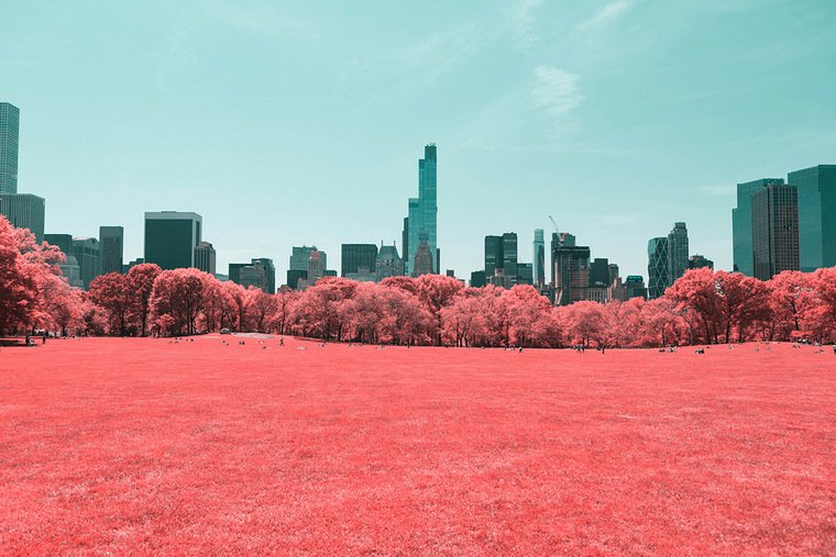 Paolo Pettigiani photos New York verdure infrarouge