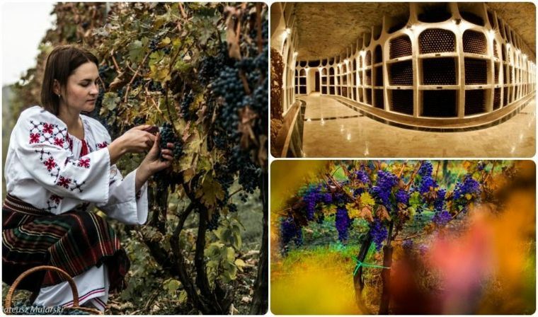 Collage photo moldavie histoire vins
