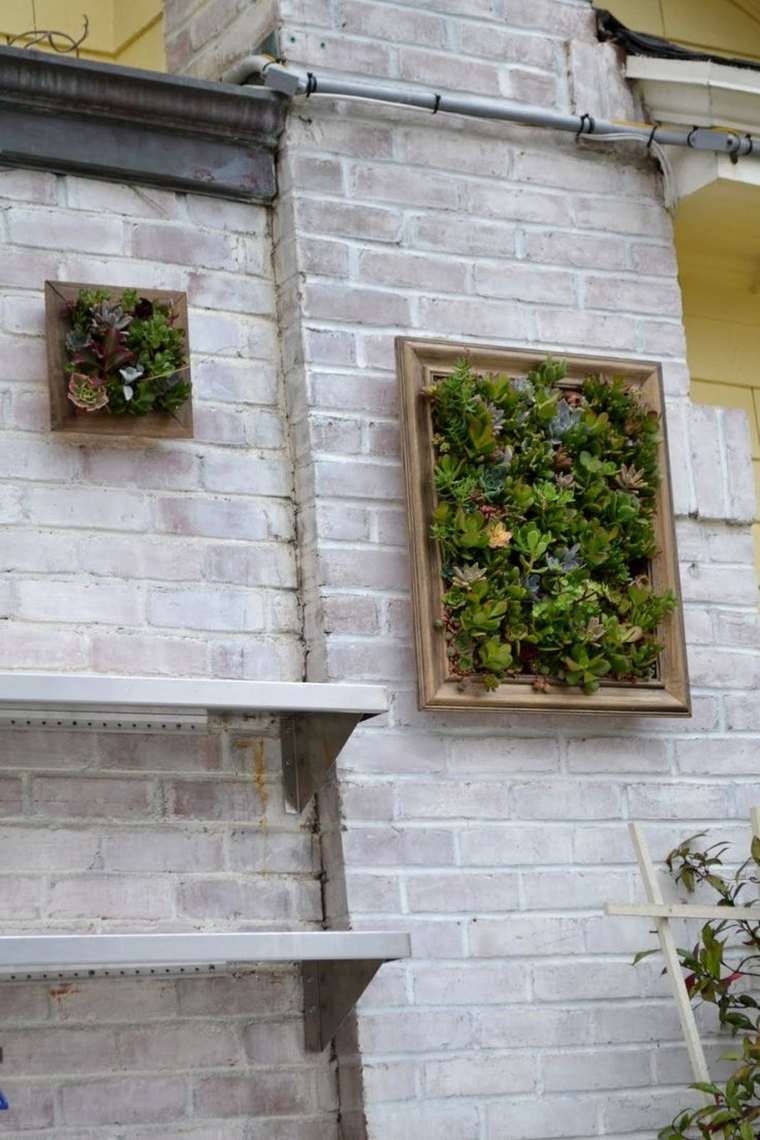 comment habiller un mur extérieur avec un jardin vertical 