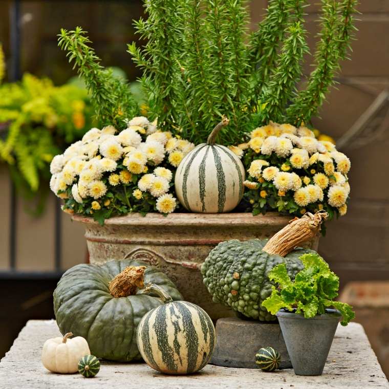 idées décors automne avec des pots de fleurs 