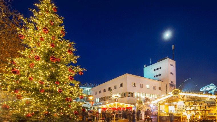 sapin Noël Friedrichshafen marché