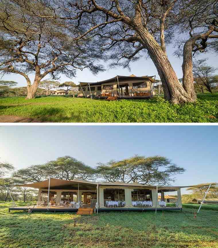 Bushtops Roving camp Serengeti loin