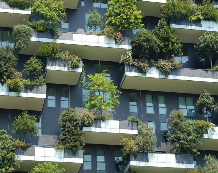 planter façade bâtiment verdure