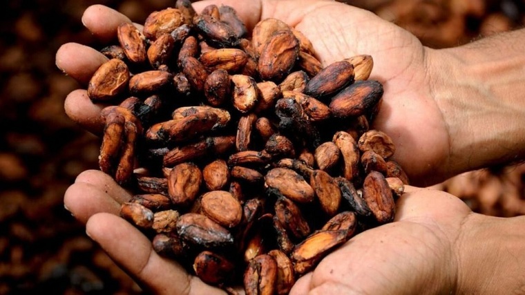 production de cacao au ghana