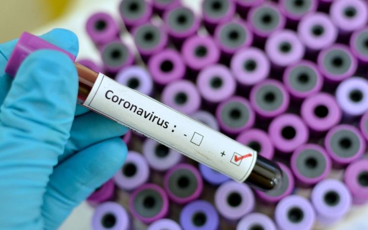 le coronavirus en Chine et dans le monde 