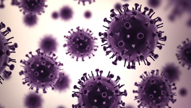 virus et immunité conseils santé